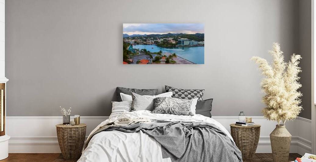 Saint Lucia Castries Panorama Part 1 by Bo Insogna