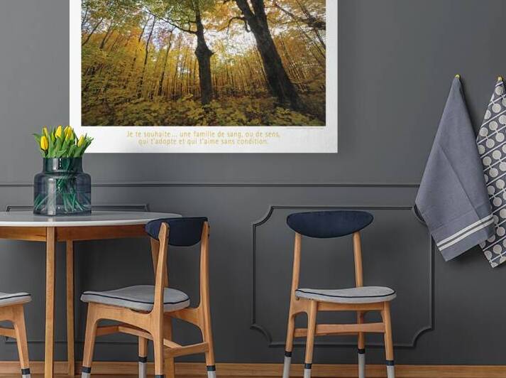 UNE FAMILLE DE SENS by Francis Pelletier