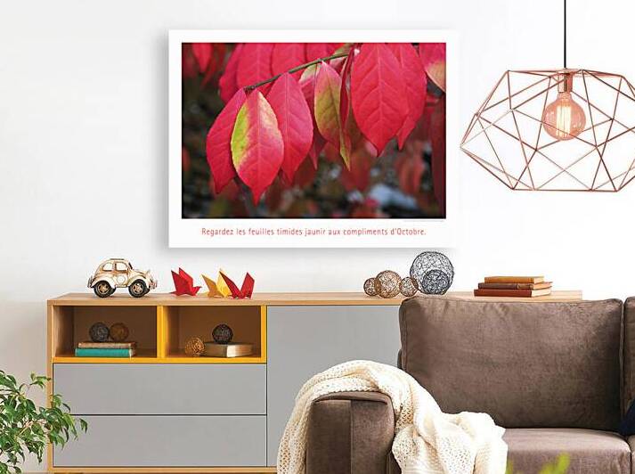 UN ARBRE TIMIDE  by Francis Pelletier