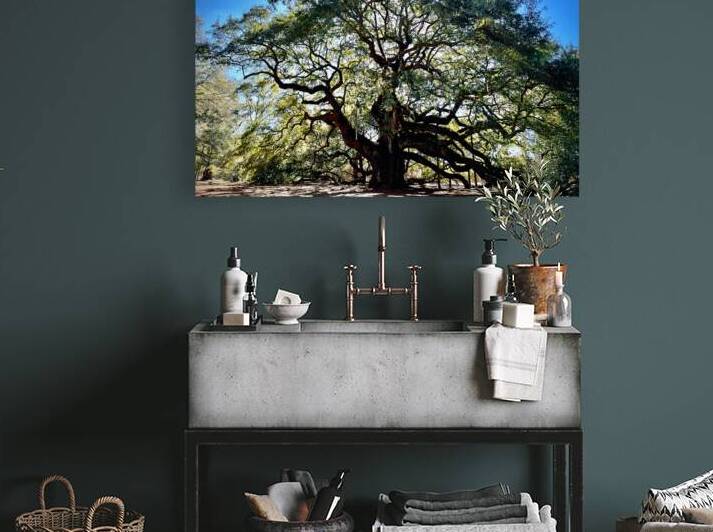 Angel Oak Sunny Glow by Bill Swartwout Photography