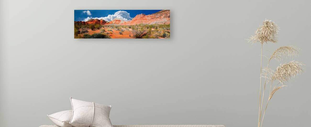 Thunderhead Billowing Over The Desert Panorama by Frank Wilson
