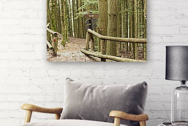 Forrest Trail to Saltino Italy  by Iris H Richardson