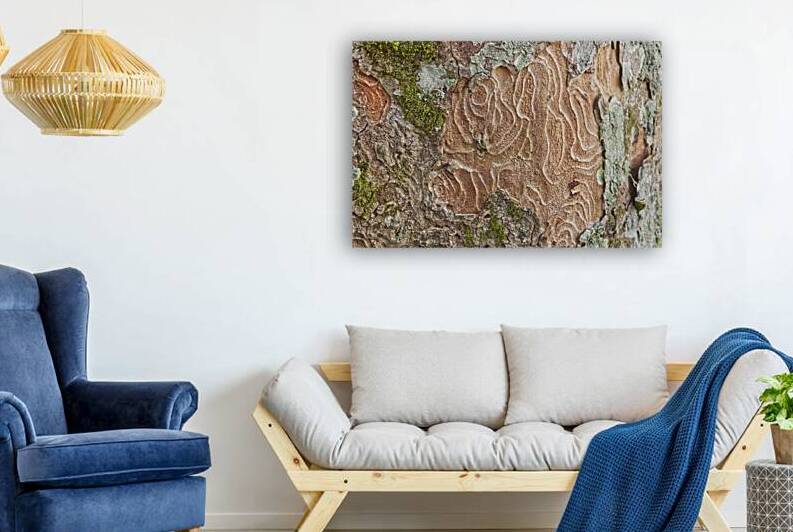 Red and Green Tree Bark Macro by Iris H Richardson