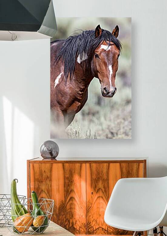 Portrait of Wizard by Weekend Vibes Photography