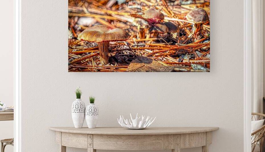 Mushroom Floor by Kelly S Larson