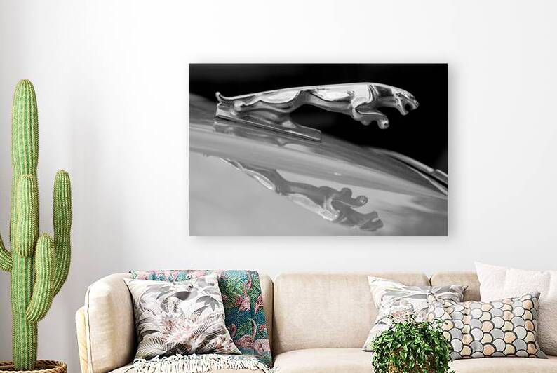 Jaguar Car Hood Ornament Reflection BW by Bo Insogna