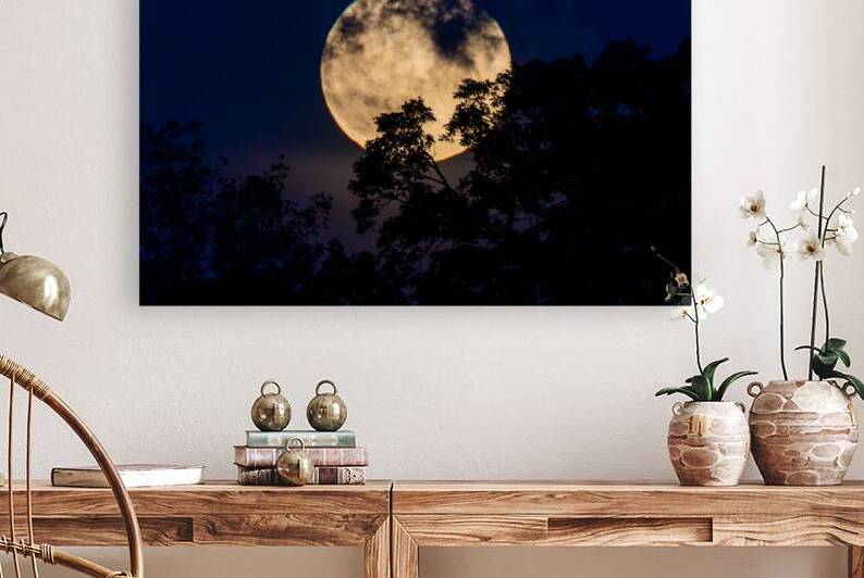 Moon Lit Night by Adel B Korkor