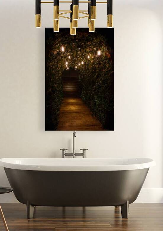 An Enchanting Entrance by Adel B Korkor