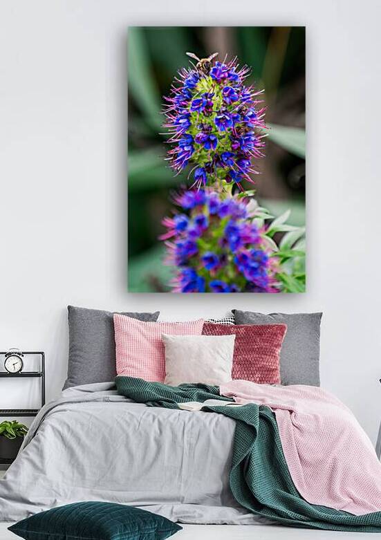 A Honey Bee on a Pride of Madeira Flower by Adel B Korkor