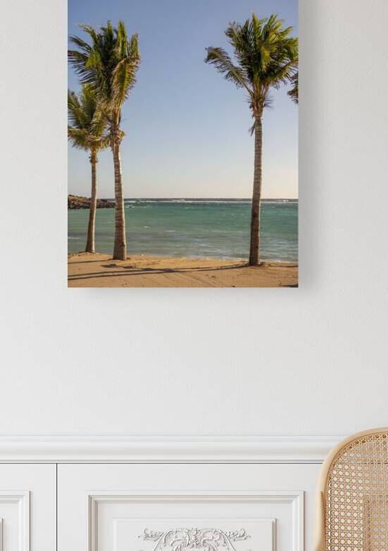 DSC 6238 by Chrystele Escure