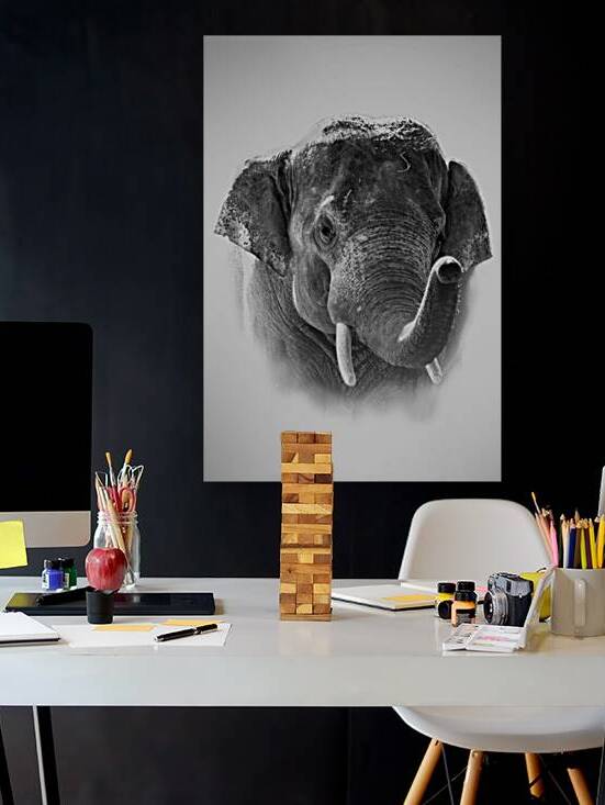 Faithful One Hundred Percent by B Zolle