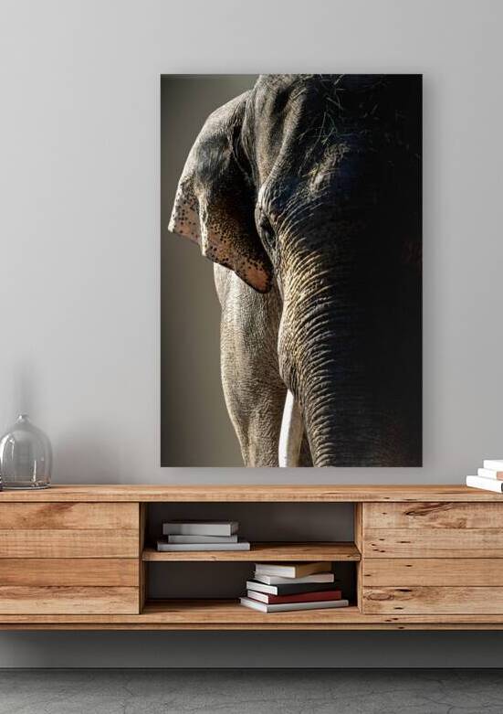 Oh My Goodness by B Zolle