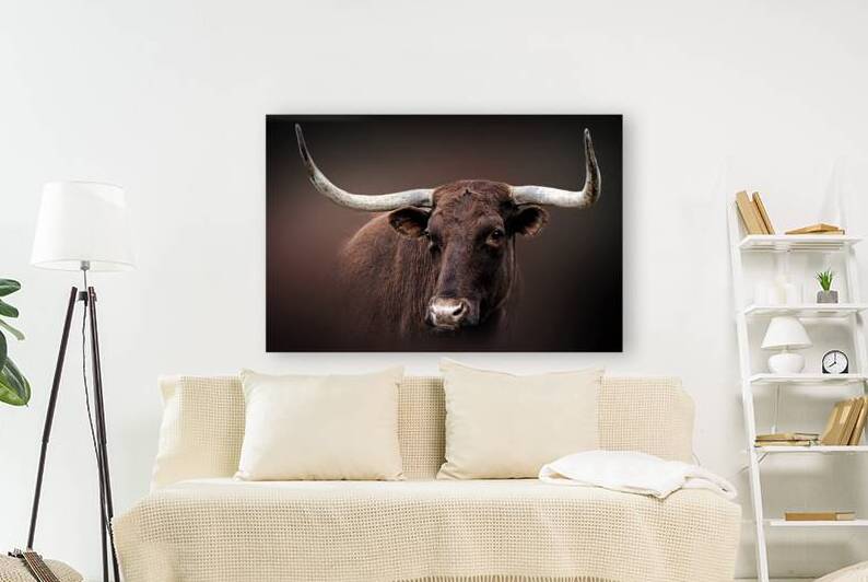 Get to the Point by B Zolle