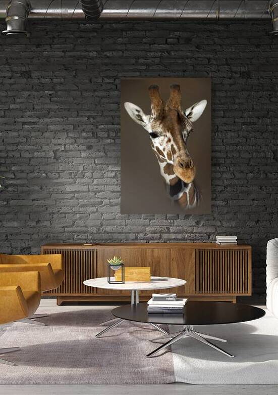 Down at Up by B Zolle