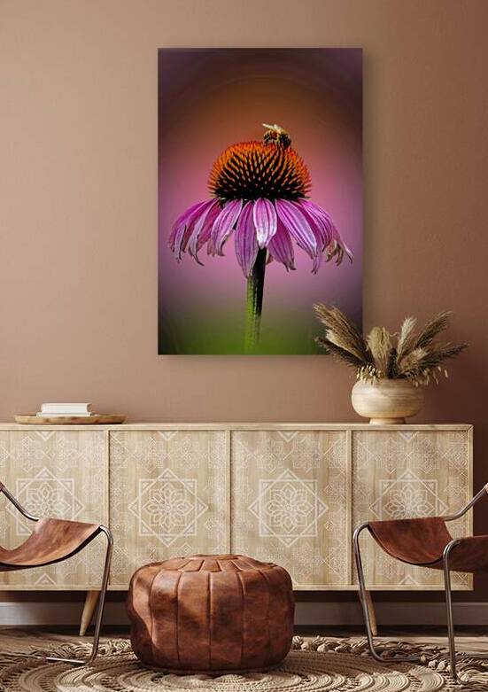 Bee Nice To Me by B Zolle