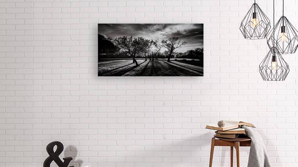 Twilight Stroll: Capturing Long Texas Shadows by Dream World Images