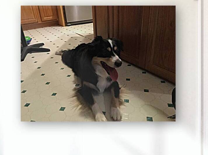 CCCBCB4D B1DF 4FD0 BACE E714BAF695E6 by BCreativeLori