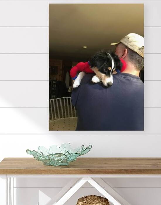 E762BF34 C3B2 4DAC 9B5D 376536B0ED6D by BCreativeLori