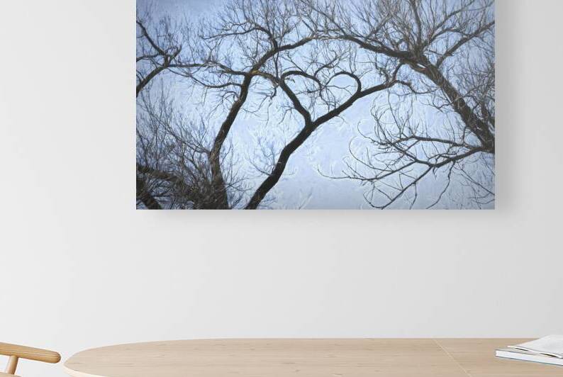 I Heart This Tree Painterly by Debra Martz Photography