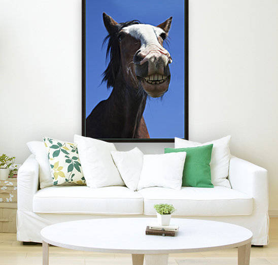 A Horse Smiling And Showing It's Teeth; Northumberland, England by PacificStock
