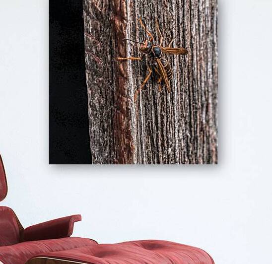 Hornet II by Kelly S Larson