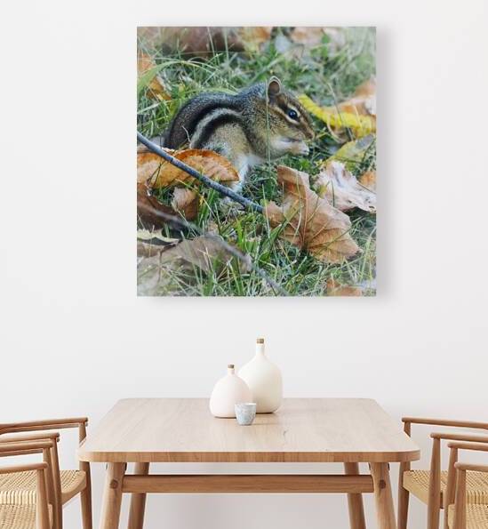 Chipmunk by Kelly S Larson