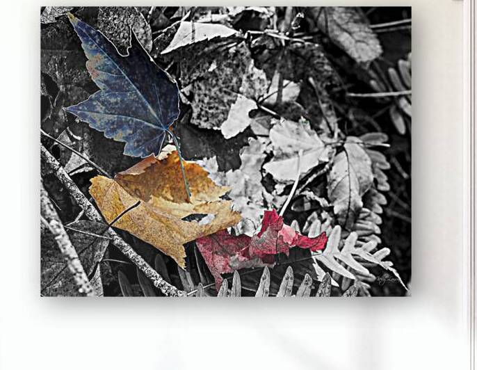 Leaf Trio by Kelly S Larson