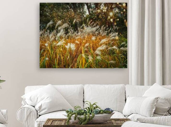 Wheat Tops by Kelly S Larson