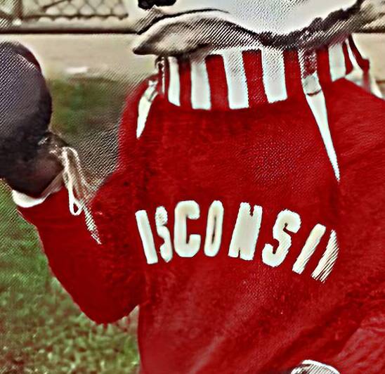 vintage bucky badger boxing gloves art by Row One Brand