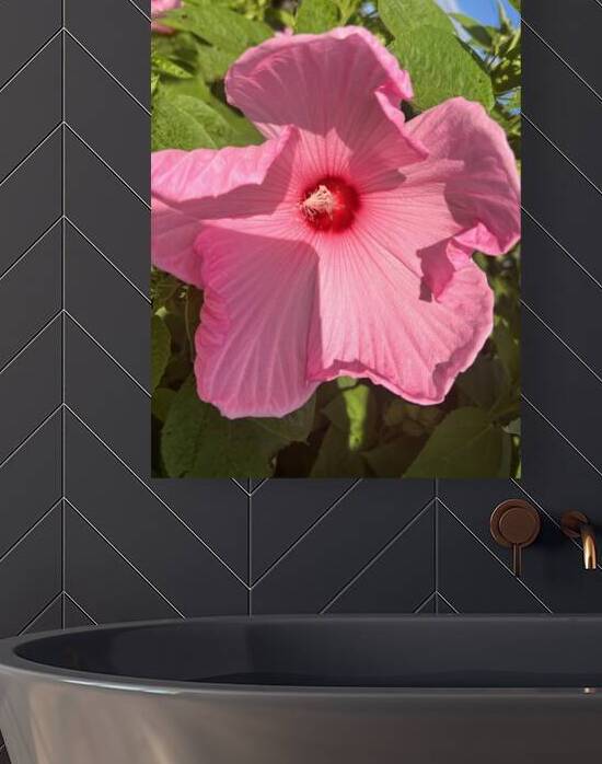 Pretty in pink by Amber McElroy