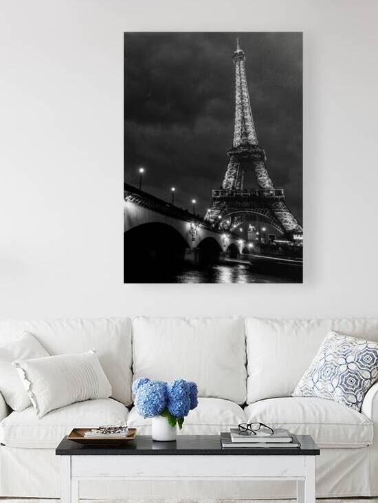 the eiffel tower in paris france  vertical 2510 T by Black And White