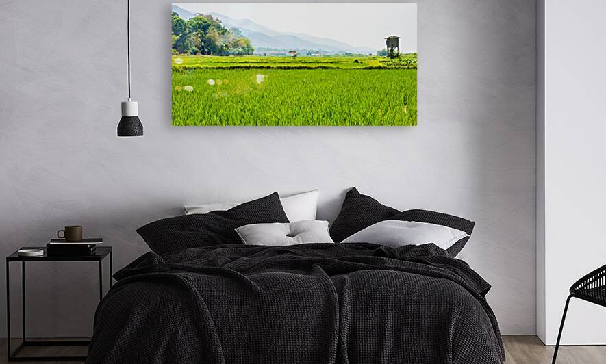 Rice Fields of Myanmar by David Northall