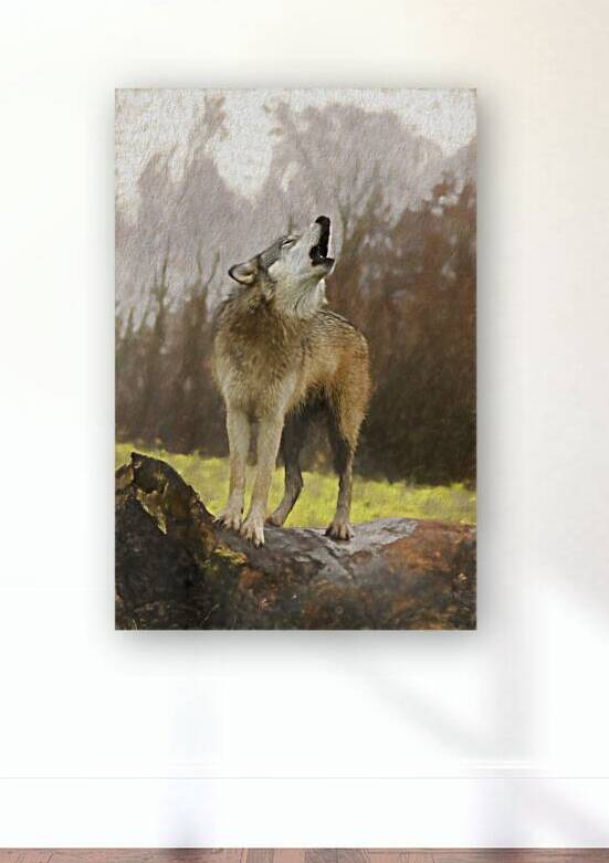 Wolves are legendary because of their spine-tingling howl  by Daniel L Friend