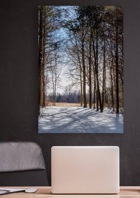 Wooded Hike In Snow by Jennifer White