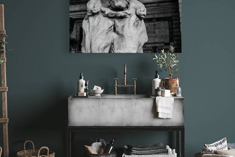 new york public library lion  horizontal 359 Beau by Black And White