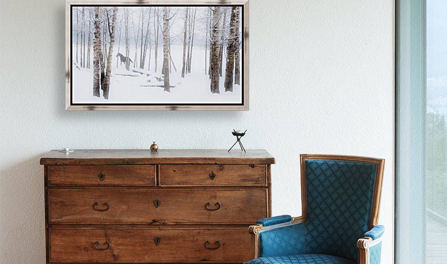 A Horse Stands Beside A Forest Of Bare Trees With The Blustery Snow In Winter; Alberta, Canada by PacificStock