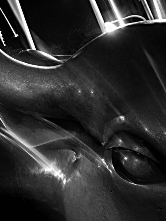 wall street bull  vertical 1414 Bull 13k by Black And White