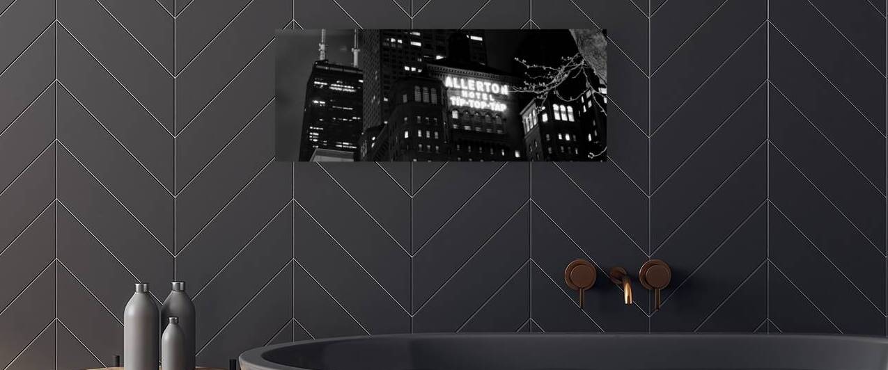 allerton hotel michican ave downtown chicago  pan by Black And White