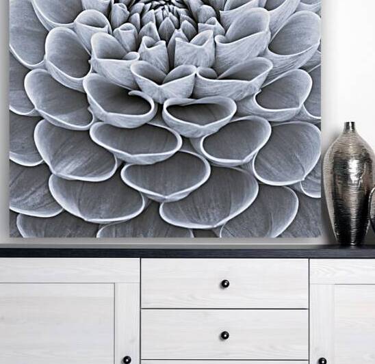 Dahlia Flower by Assaf Frank