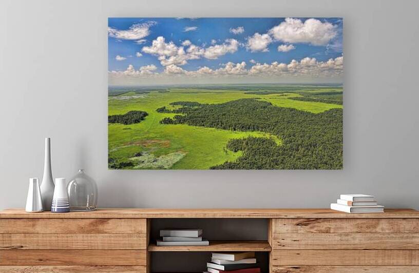 MARSH SWAMP by Digicam