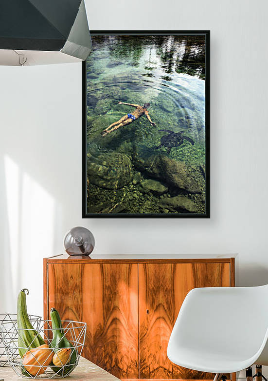 Hawaii, Oahu, Man And Hawaiian Sea Turtle Swimming Side By Side In The Ocean Reef, View From Above. by PacificStock