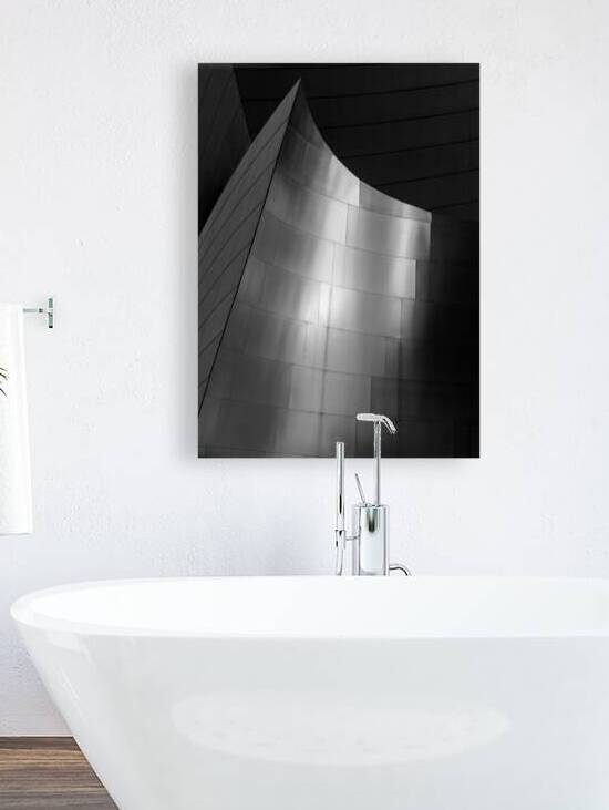 stainless steel walt disney concert hall  vertica by Black And White