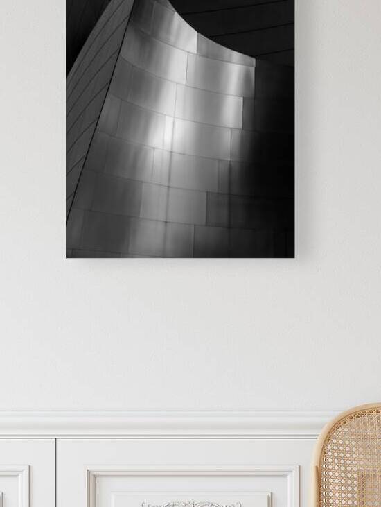 stainless steel walt disney concert hall  vertica by Black And White