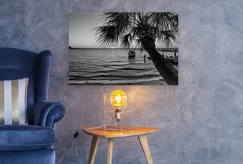 Gulf Breeze Palm Tree And Sailboat Sunset Grayscale by Jennifer White