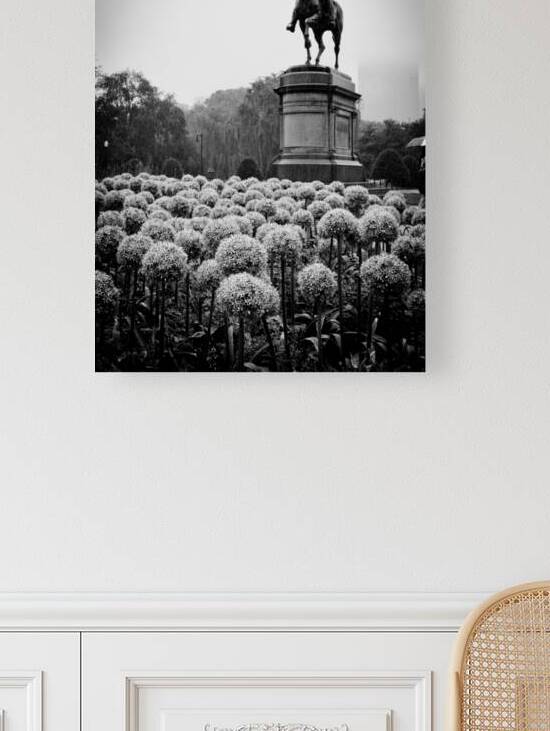 george washington statue public garden  vertical by Black And White