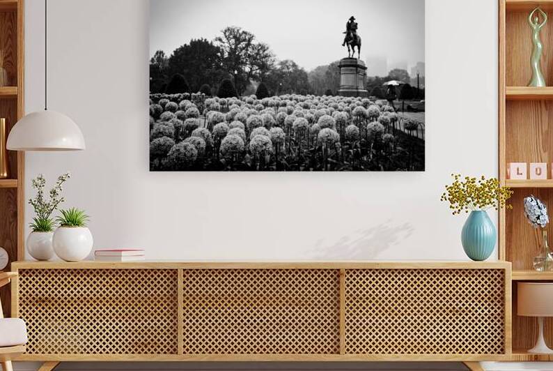 george washington statue public garden  horizonta by Black And White