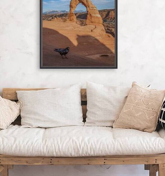 Delicate Raven by Geoffrey Prior