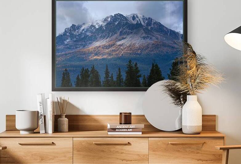 Larches of Banff by Geoffrey Prior