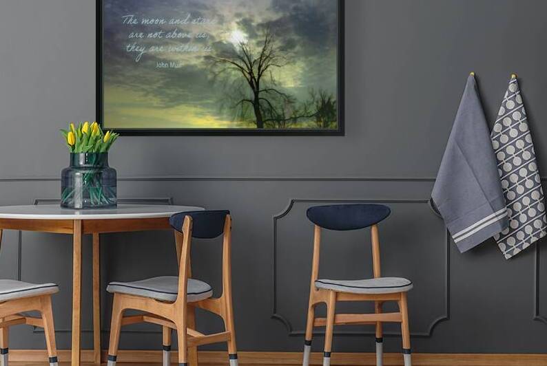 Tree and Moon Silence Silhouette  by Norma Brandsberg Photography