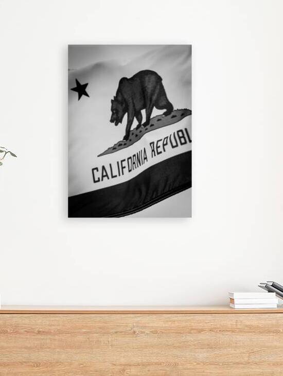 california repulic flag  vertical 2854 Soviet 13k by Black And White
